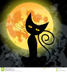 Black Cat Moon 2